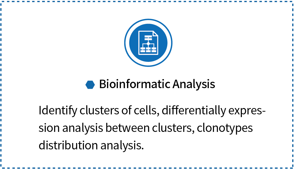 Novogene 10x Single Cell Rna Seq Blog Novogene 10x Single Cell Rna Seq Blog
